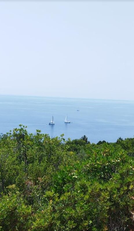 צילום-מסך-2023-07-14-115741