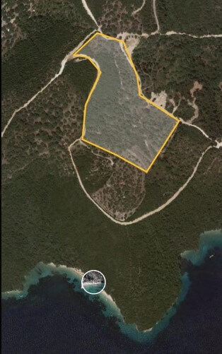 צילום-מסך-2023-07-27-143042