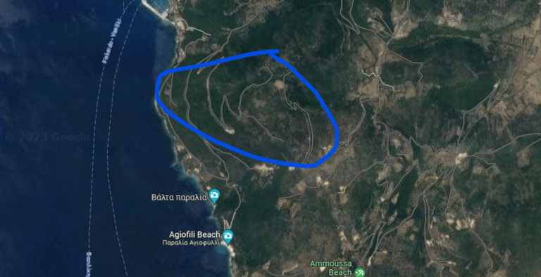 צילום-מסך-2023-07-28-110658