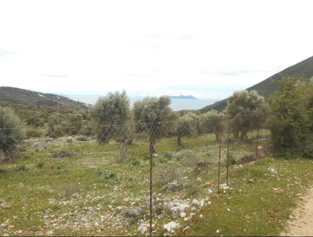 צילום-מסך-2023-08-10-112331