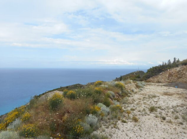 צילום-מסך-2023-08-13-104433