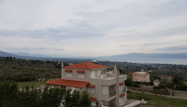 צילום-מסך-2024-09-20-100107