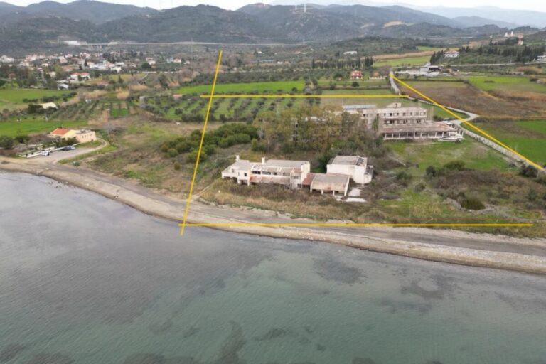 PHOTO-2025-05-20-15-34-27-1