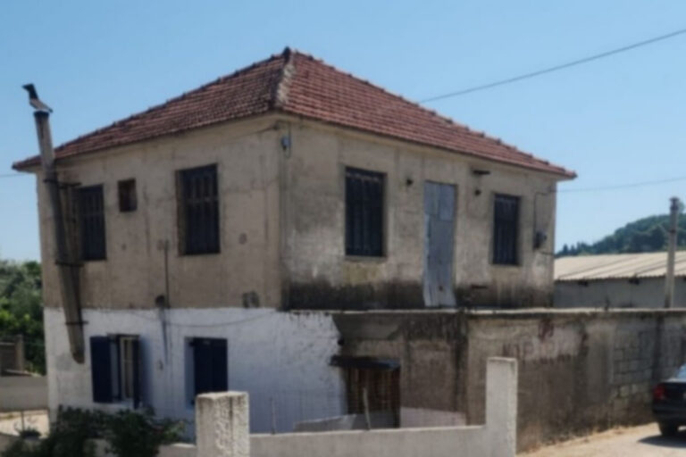 PHOTO-2025-07-08-06-13-32-1